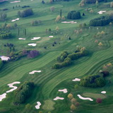Hallerbos 